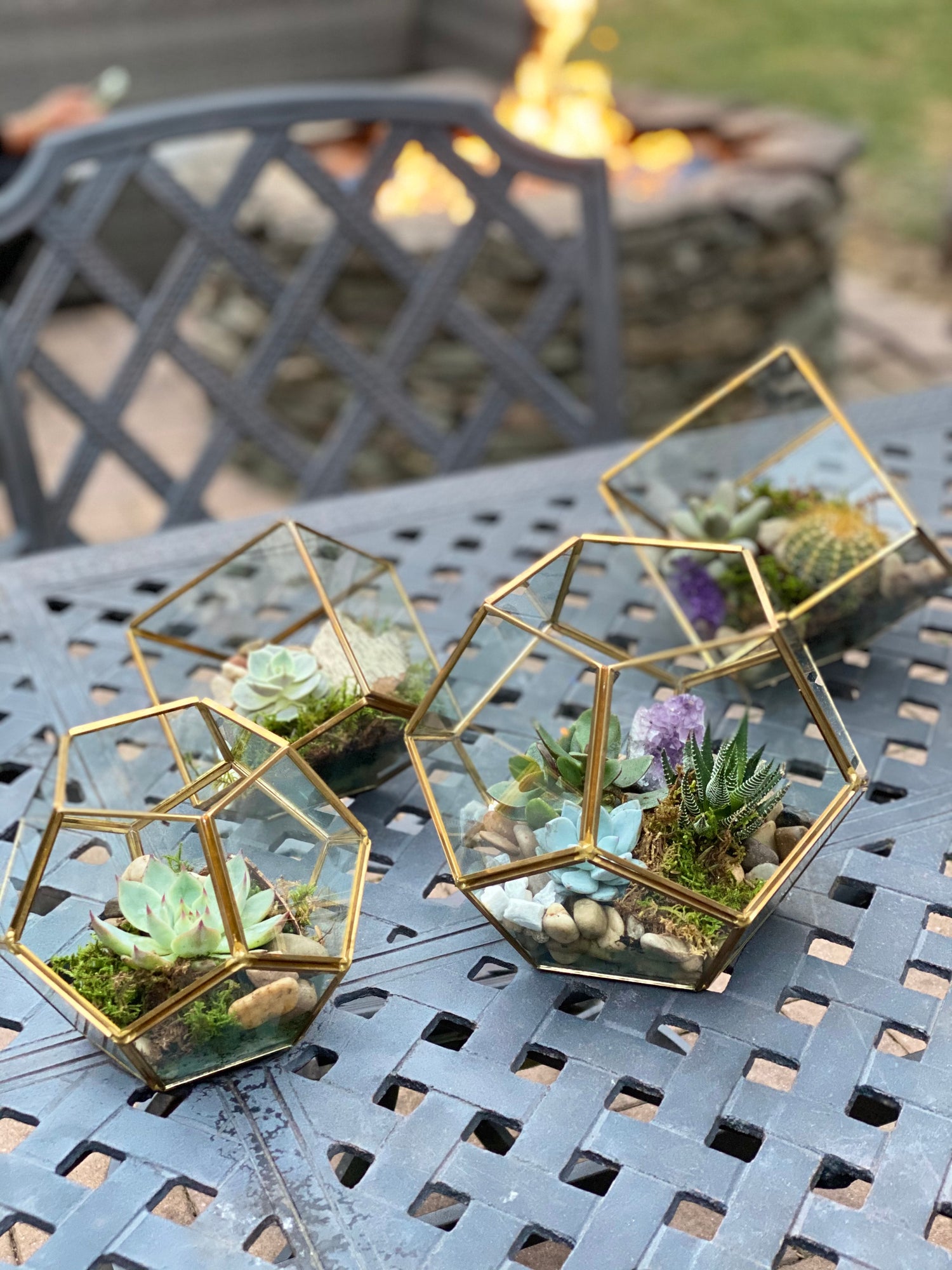 Terrariums