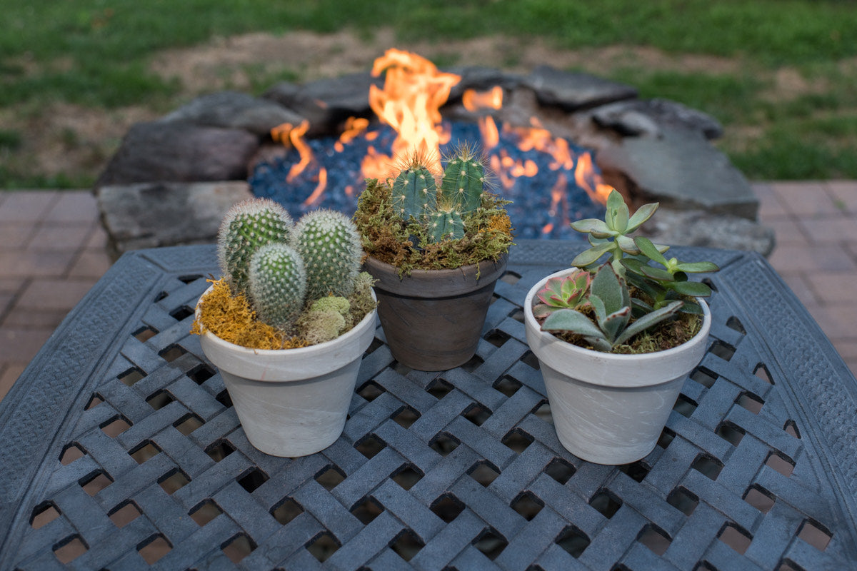 French Terra-Cotta Pot