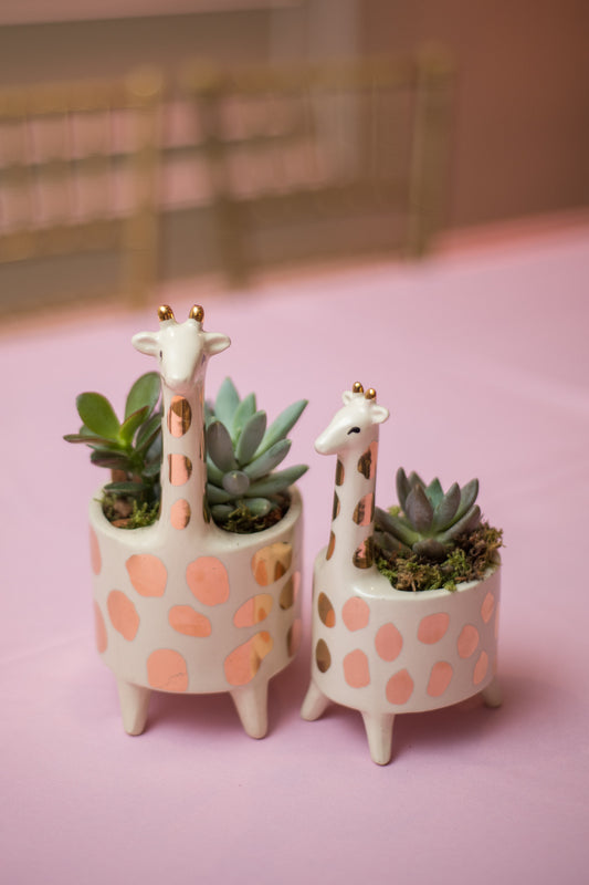 Giraffe Planter